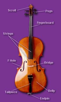 Cello picture